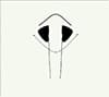 Attache de queue 4.0