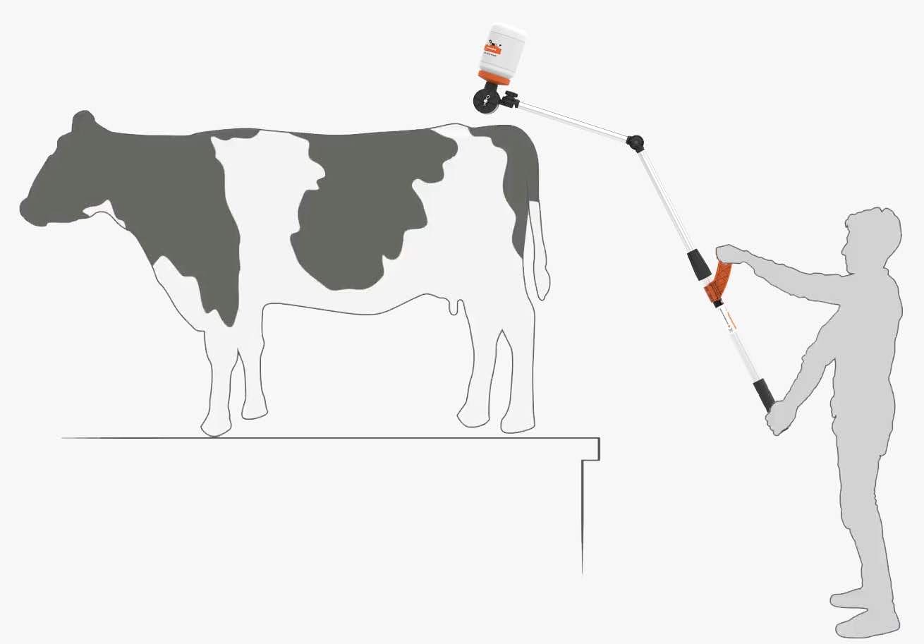 Tailpainter